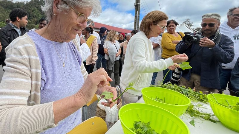 Salazie fête le chouchou des concerts et un concours de casseurs de