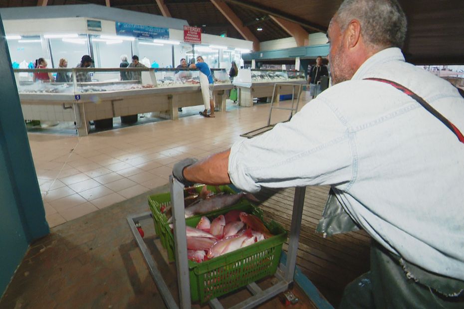 Pêche un statut de patron pêcheur pour les professionnels