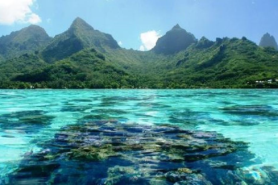 Moorea le corps d un homme découvert dans le lagon de Haapiti