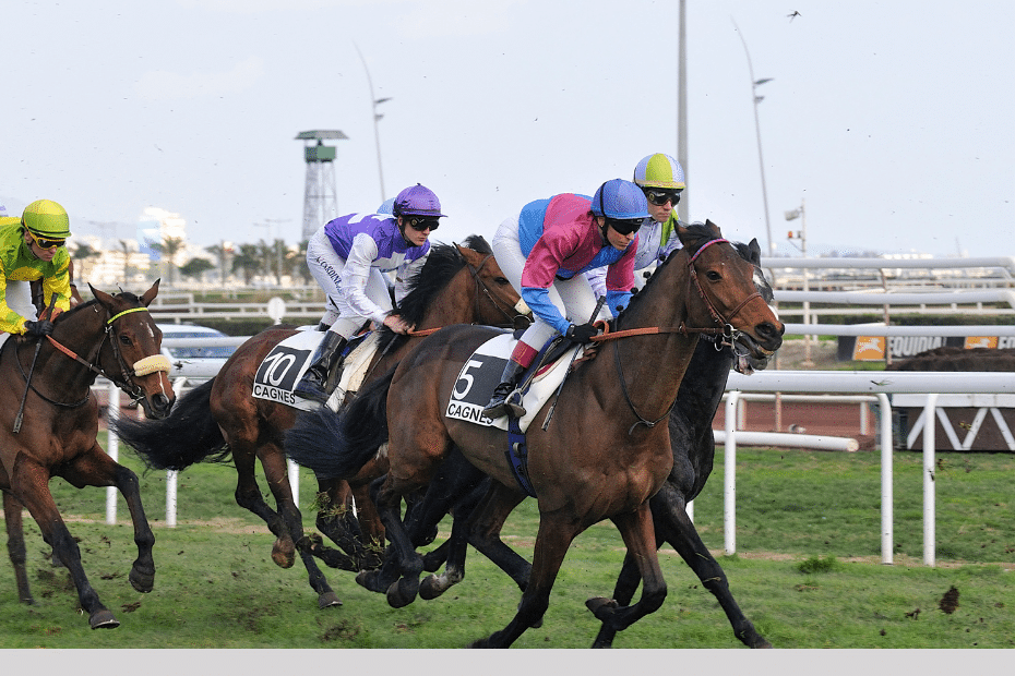 Les Pronostics Du Quint De Cagnes Sur Mer Du D Cembre Par