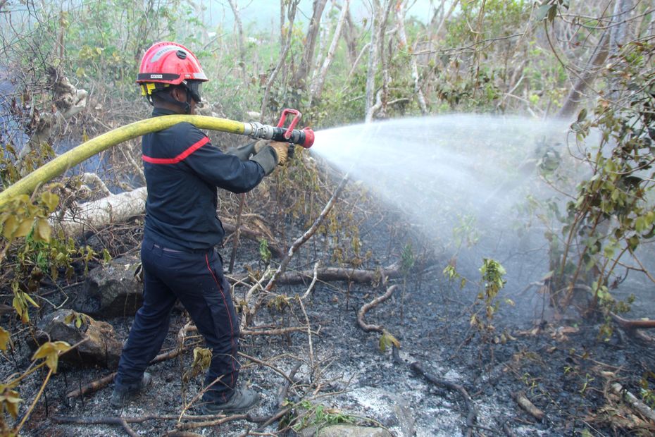 Après 120 hectares de végétations brûlés en sept jours à Mayotte les