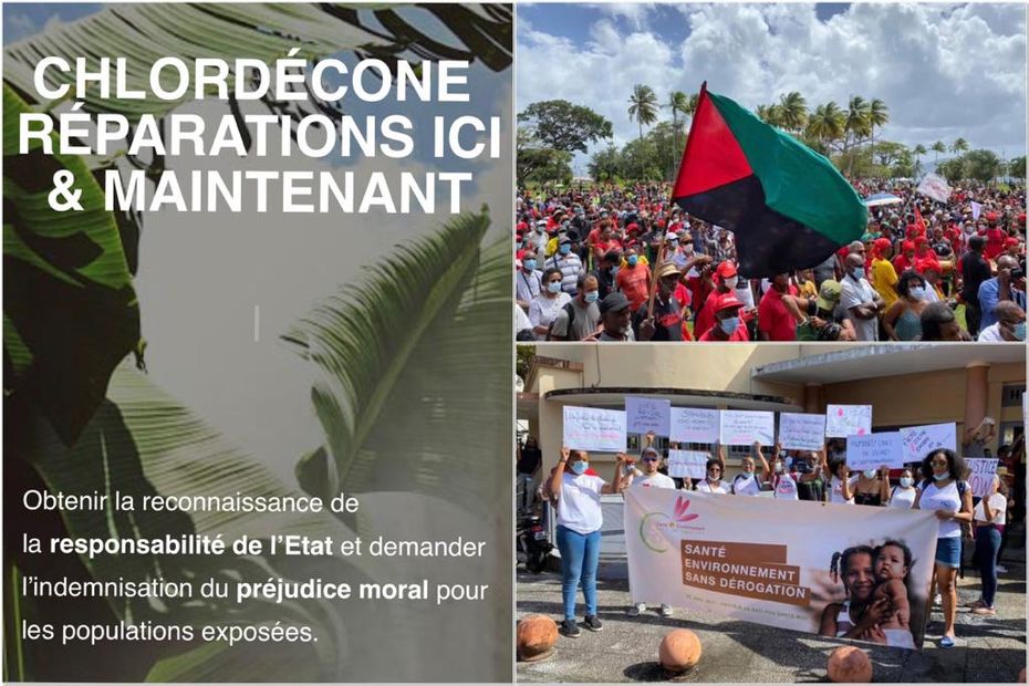 Chlordécone en Martinique importante mobilisation populaire contre la