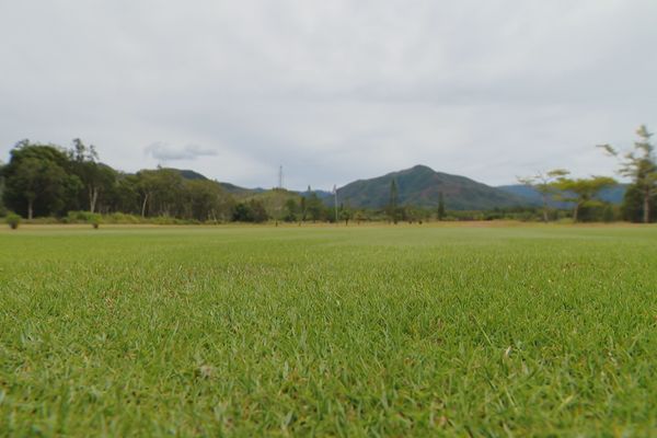 Au golf de Dumbéa, l'arrosage est concentré sur le green.