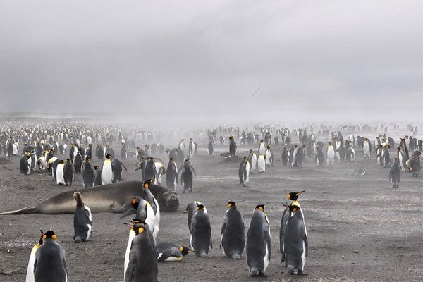 Kerguelen - Brume mystérieuse