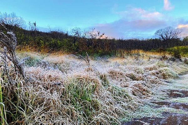 Givre sur le Maïdo mercredi 23 juin 2021