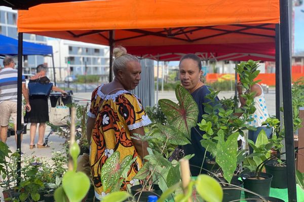 Garden party, marché aux plantes, Dumbéa, 15 mai 2021