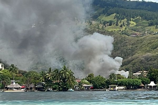 Vers 14h45, une épaisse fumée s'est propagée dans le ciel de Punaauia