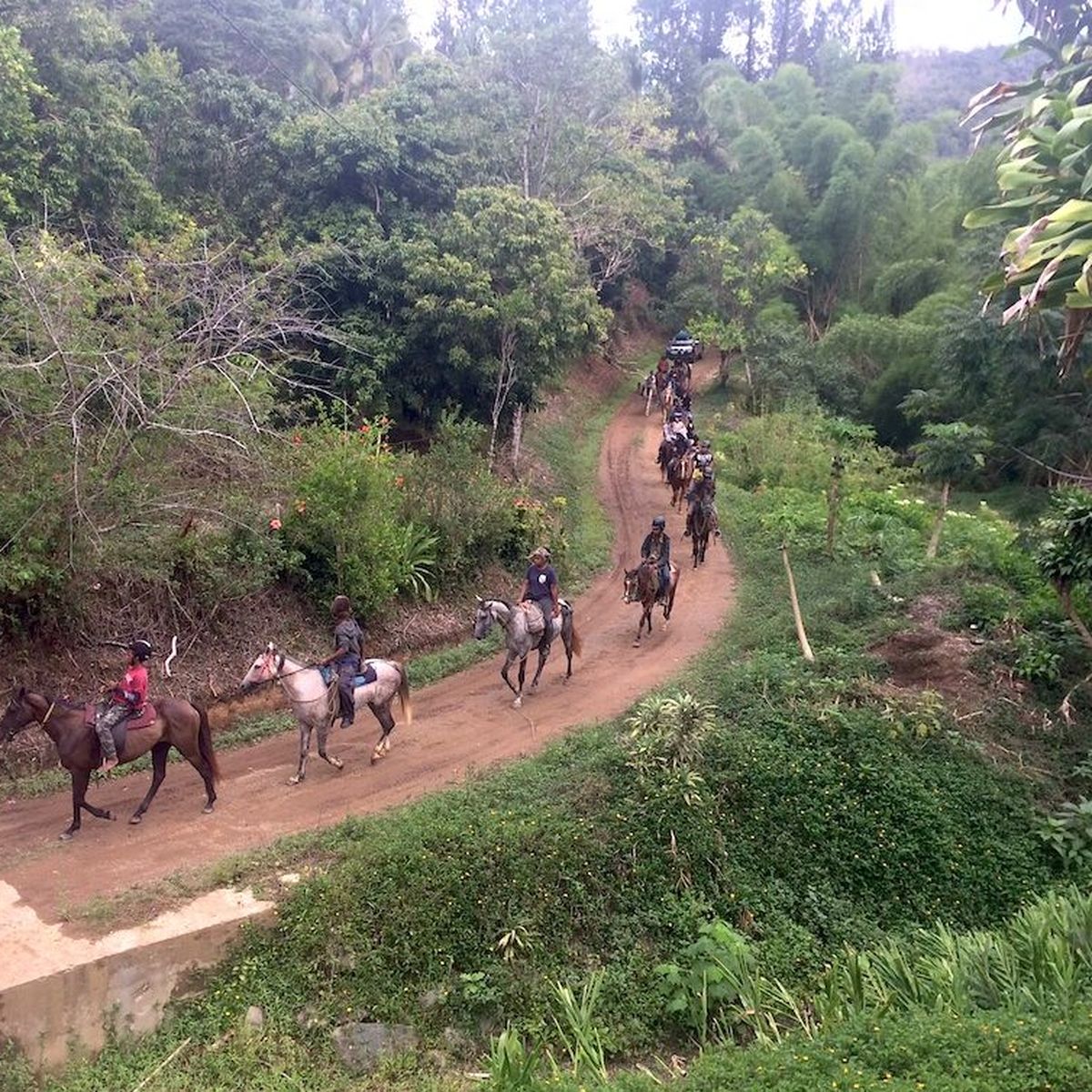 nouvelle caledonie decouvrir l ile a cheval