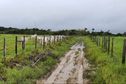 Visite ministérielle en Martinique : François-Noël Buffet à l’écoute des doléances du monde agricole et de la pêche