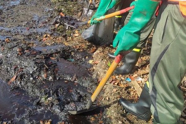 L’île Sœur fait face à une marée noire après le naufrage du vraquier Wakashio le 25 juillet dernier, sur le récif de Pointe d’Esny. 