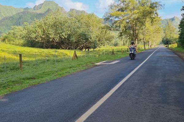 route belvédère Moorea