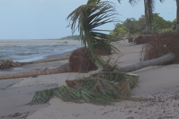 Erosion plage Awala