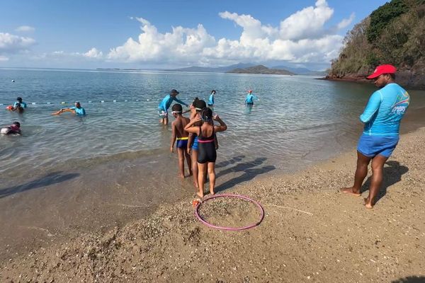 Formation d'aisance aquatique