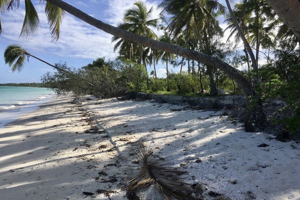 Ouvéa : quand l'érosion grignote petit à petit l'île la plus proche du paradis