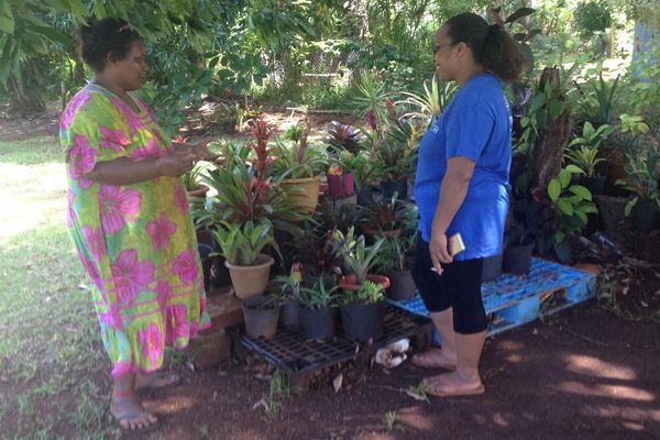 Prévention de la dengue à Yaté, tribu de Waho (3 mars 2018)