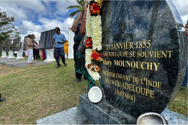 Une stèle en hommage au premier bébé indiens né en Guadeloupe a été inaugurée sur le Morne de la Mémoire, aux Abymes - 25/01/2025.