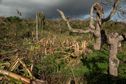 Cyclone Dikeledi : Mayotte passe en alerte rouge dès 22 heures