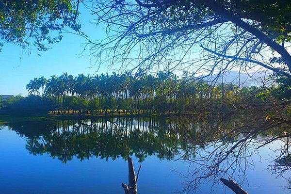 Etang Saint-Paul 21 nov 2018