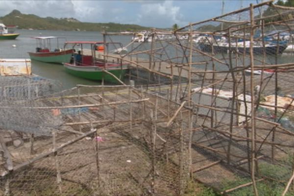 Le port de pêche du François. 