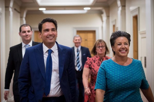 Simon bridges : NZ National Party