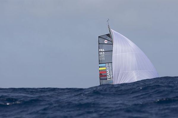 Mini-Transat 2019