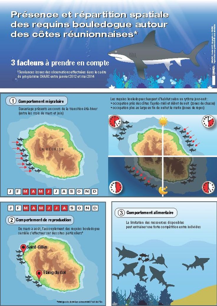 Migration Alimentation Reproduction Les Trois Facteurs Cles De La Presenc