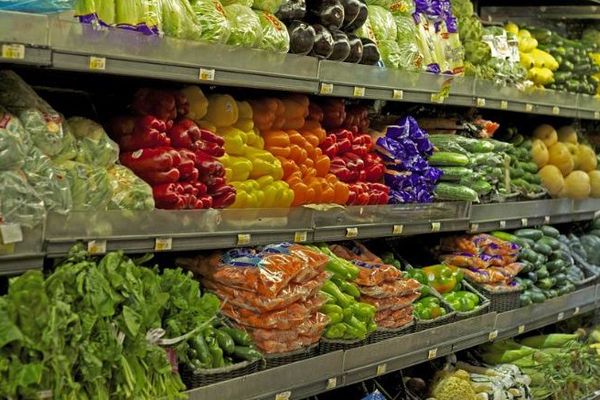 Légumes : rayon de magasin