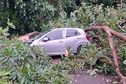 Un arbre tombe sur une voiture à Rémire-Montjoly