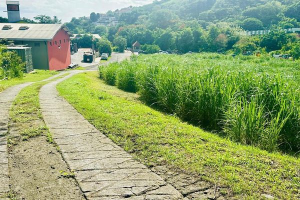 Neisson / chemin communal / environnement / distillerie