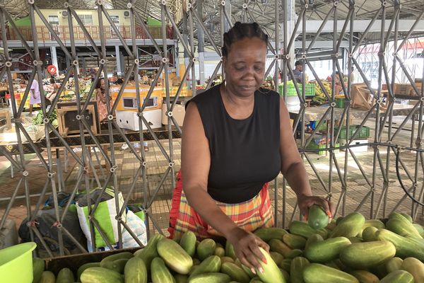 Machann' Foyal fait sa rentrée avec du concombre