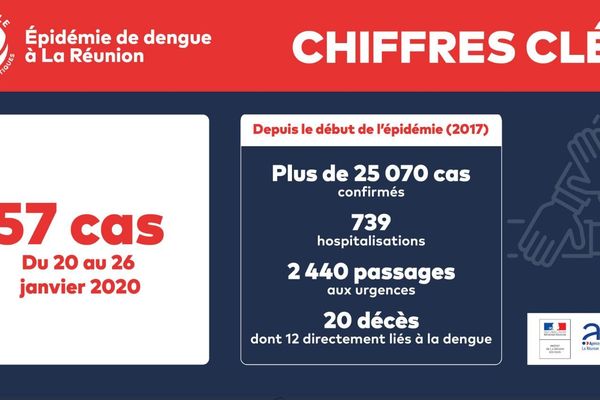 épidémie de dengue le nombre de cas à La Réunion