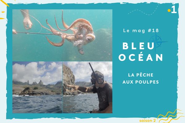 Bleu Océan - Le mag #18 : la pêche aux poulpes