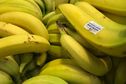 La Banane de Guadeloupe et Martinique élue marque préférée des Français