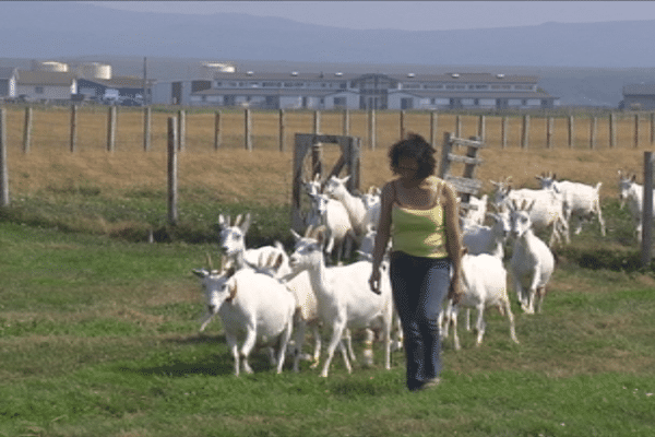 Ferme grand large