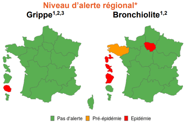 La Guadeloupe, la Martinique, la Guyane et l'Île-de-France sont classées en "phase épidémique" de bronchiolite