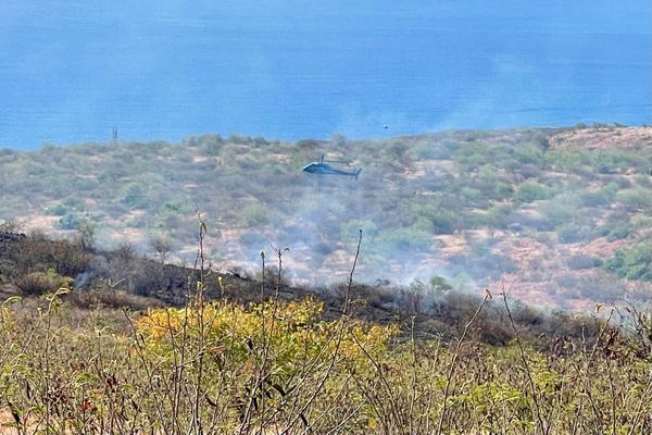 Un nouvel incendie s'est déclaré ce lundi 2 septembre, en début d'après-midi, dans la savane de Saint-Paul.