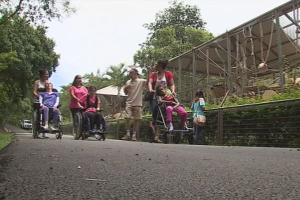 parc forestier : accessibilité pour personnes ayant un handicap