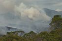 VIDEO. Incendie de la plaine de Prony : trois jours après le sinistre, mille hectares dévastés par les flammes, le maire du Mont-Dore interdit l'accès sur la zone