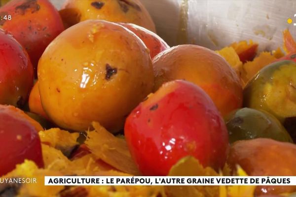 VIDÉO. Le parépou, l'autre graine vedette de Pâques en Guyane