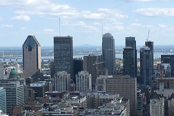 vue sur la ville de Montréal depuis le Mont-Royal