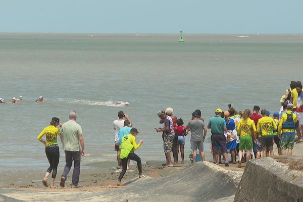 L'arrivée à la plage de Kourou des nageurs de "Hand'Cap sur Amazonie"