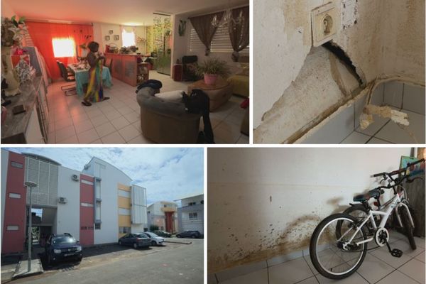 Infiltrations, problèmes électriques, moisissures... de nombreux logements sont désormais inhabitables, dans cette résidence de la commune de Goyave.