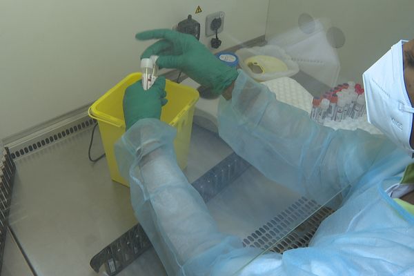 Test covid dans un laboratoire en Martinique.