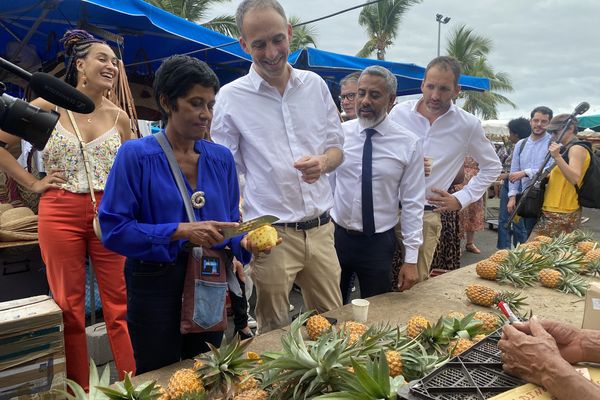 Raphaël Glucksmann est en campagne à La Réunion