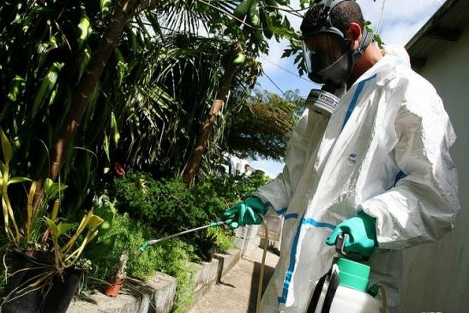 Dengue: l’epidemia continua a diminuire nella riunificazione