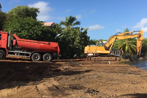 Un chantier d'enlèvement des sargasses échouées dans la zone de Frégate au François.