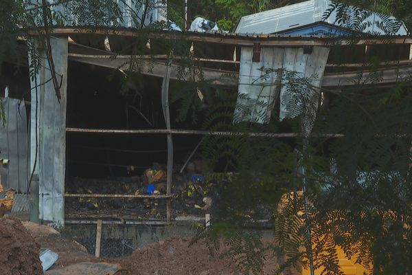 Les dégâts à Technival, au lendemain de l'incendie.