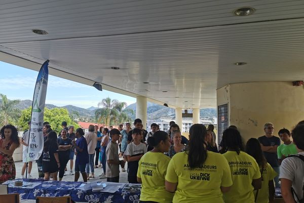 Visite guidée Lycée Dick Ukeiwe 6