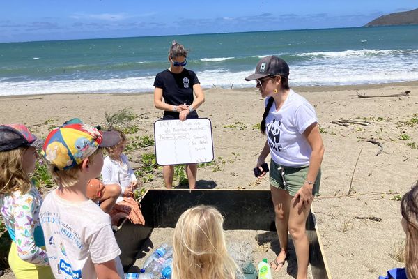 Les enfants ont pu relever le défi "vis ma vie de tortue marine", lors de la journée proposée pour la fête de la Science sur la plage de la roche Percée.