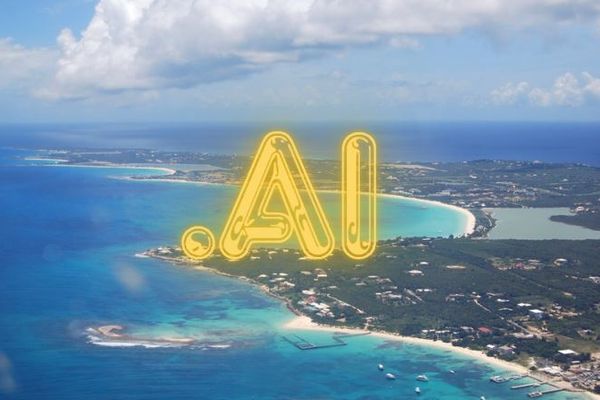 Anguilla et son nom de domaine.AI